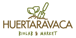 logo main
