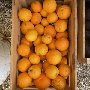 FRUTA