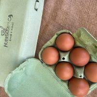 HUEVOS
